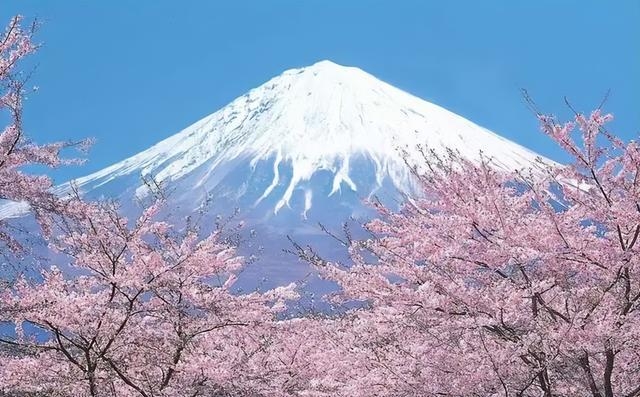 日本人口相對不多，衛(wèi)生紙用量卻世界第一，都用來干什么了？