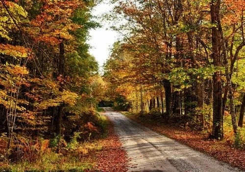 近期，緬因大學、新英格蘭林業(yè)基金會和美國林務局的研究人員，對緬因州北部大部分屬于私有商業(yè)林的7萬畝森林進行建模研究后，最終根據(jù)研究結果，發(fā)布了一項有關緬因州森林碳吸收的新發(fā)現(xiàn)。