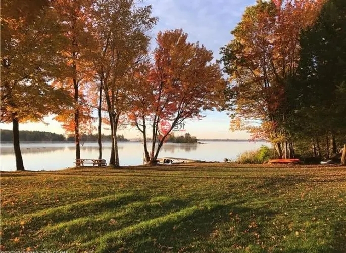 近期，緬因大學、新英格蘭林業(yè)基金會和美國林務局的研究人員，對緬因州北部大部分屬于私有商業(yè)林的7萬畝森林進行建模研究后，最終根據(jù)研究結果，發(fā)布了一項有關緬因州森林碳吸收的新發(fā)現(xiàn)。